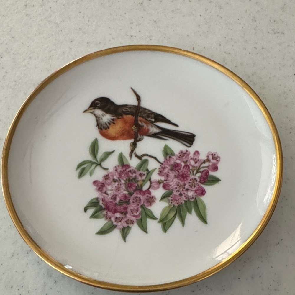 Alboth & Kaiser Bavaria porcelain 4” bird plate